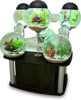 近未来的な水槽「Silverfish Aquarium」